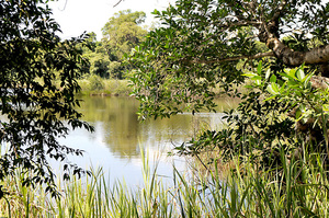 Lago Yrendy, mítico recurso natural de la urbanizada Ciudad del Este - La Clave