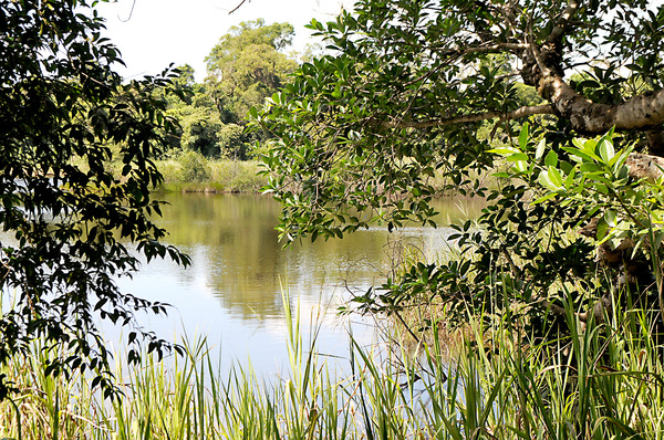 Lago Yrendy, mítico recurso natural de la urbanizada Ciudad del Este - La Clave