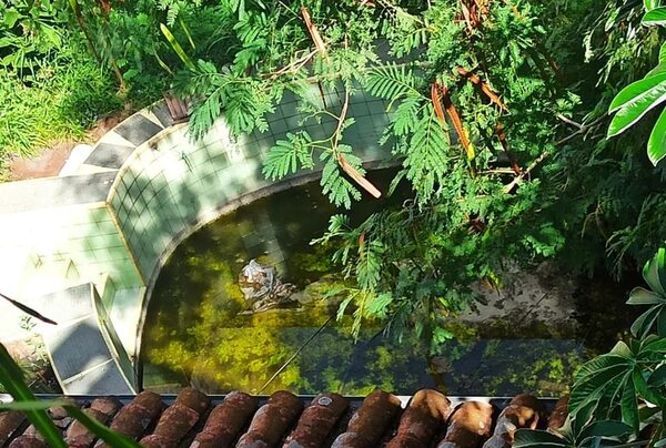 Piden multa máxima para propiedad abandonada en el microcentro capitalino - Nacionales - ABC Color