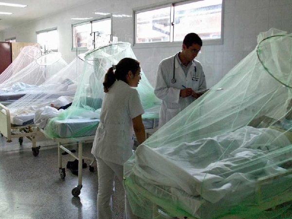 Secuelas de chikungunya pueden durar hasta un año | 1000 Noticias