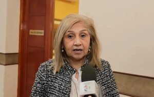 Miembros del JEM “violaron” la ley de forma “descarada y pública”, consideran desde el CEJ  - Política - ABC Color
