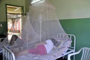 Chikunguña: Salud insta a volver a usar el mosquitero - Nacionales - ABC Color