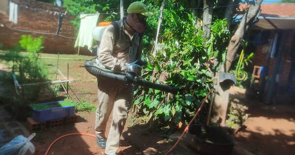 La Nación / Senepa realiza intervenciones de control mediante 3 brigadas diferentes en las casas