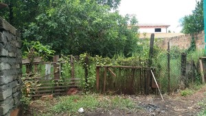Capiatá: edicto no permite entrar a terrenos baldíos, solo notificar | 1000 Noticias