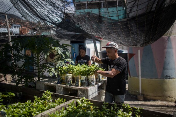 Una marca de café con propósito social, el sueño para un barrio en Venezuela - MarketData