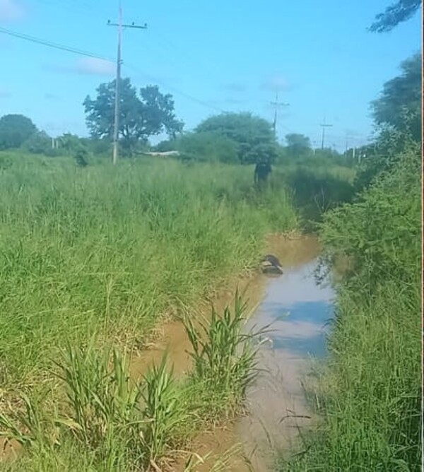 Hallan los cuerpos de dos jóvenes indígenas en un camino vecinal de Filadelfia - PDS RADIO Y TV