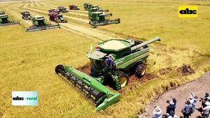 Cultivos en campos bajos Arroz Tio Nico y tecnología de cosecha - ABC Rural - ABC Color