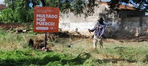 “Multado por puerco” es el mensaje que dejan después de limpiar baldíos en San Lorenzo - Nacionales - ABC Color