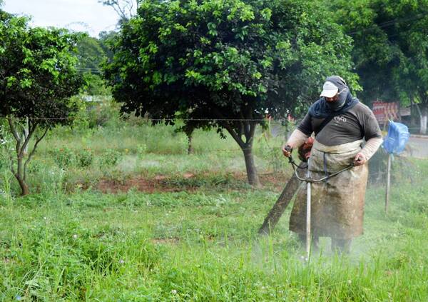 Diario HOY | Emplazan a propietarios para que limpien sus terrenos baldíos en Capiatá