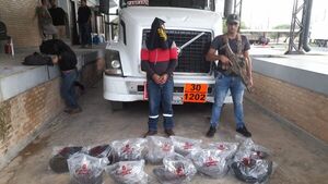 Senad detectó precursor de cocaína en camión cisterna que iba a Bolivia