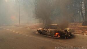 Estado de catástrofe en centro y sur de Chile por incendios forestales