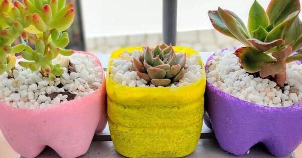 La Nación / Reciclar para lograr macetas creativas