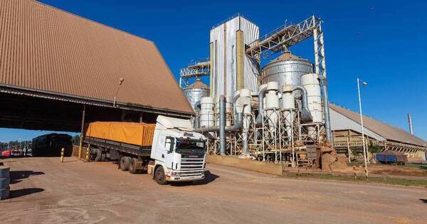 La Nación / Industria aceitera seguirá afrontando una delicada situación