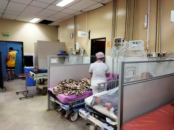 Suman 11 muertos y unos 10 mil casos de chikunguña, alertó Salud Pública - Nacionales - ABC Color
