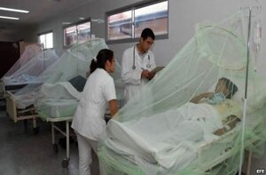 Chikungunya: Reorganizan atenciones en hospitales ante aumento de casos febriles