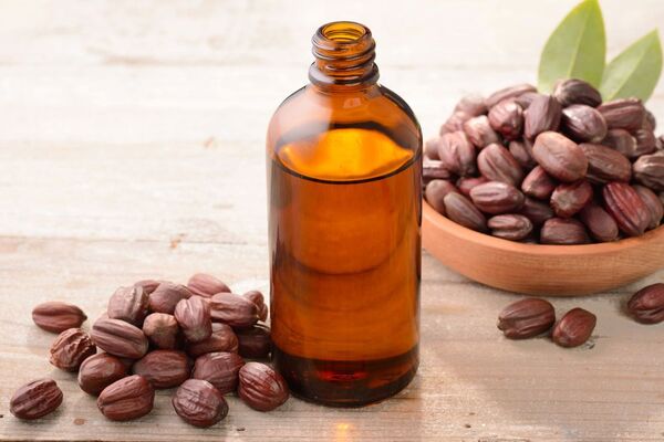 Todo lo que el aceite de jojoba puede hacer por tu piel y cabello