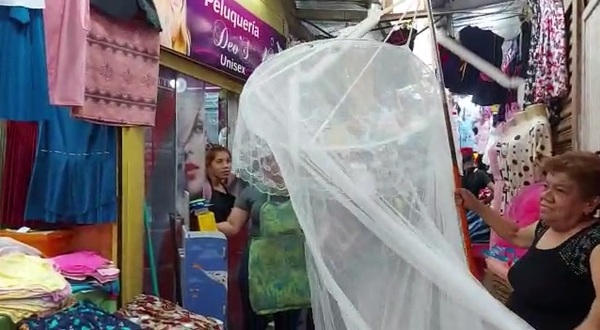 Precio de mosquiteros en el mercado de San Lorenzo » San Lorenzo PY