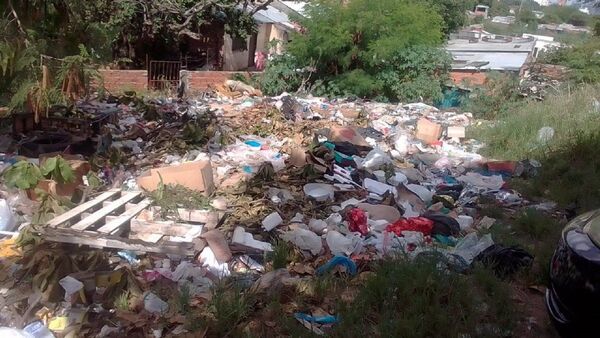 Desde víboras hasta un ataúd: Piden acción ante vertedero clandestino