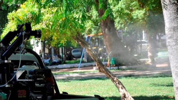 Criaderos se encuentran principalmente en las viviendas advierte Senepa - El Independiente