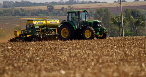 La Nación / El presente y futuro para mejorar cultivos en el campo: la tecnología SIG