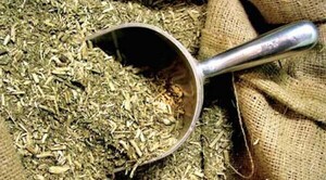 Diario HOY | Promueven el consumo responsable de yerba mate orgánica
