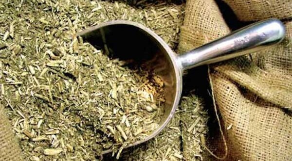 Diario HOY | Promueven el consumo responsable de yerba mate orgánica