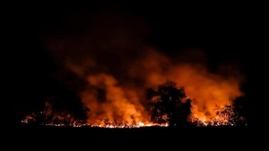 Incendios forestales en Chile dejan 23 muertos - El Independiente