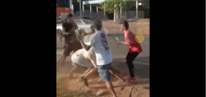 (Video) Moquete en fiesta patronal: se lanzaron botellas y cubiertas