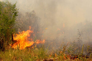 Argentina refuerza medios para combatir incendios en parque nacional Alerces - El Independiente