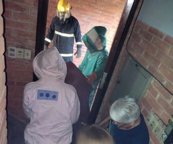 ¡Ndi! Enjambre de avispas ataca una iglesia cristiana