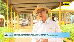 Sigue preocupación por uso de semillas sin declarar y de contrabando   - ABC Rural - ABC Color