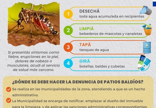 Reiteran importancia de eliminar criaderos de mosquitos