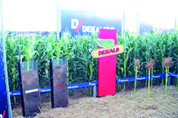 Dekalpar, presente con innovaciones tecnológicas