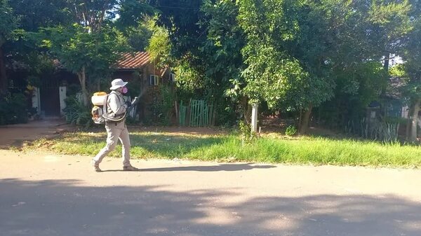 En San Juan Bautista confirman 4 casos de chikunguña y más de 50 de dengue - Nacionales - ABC Color