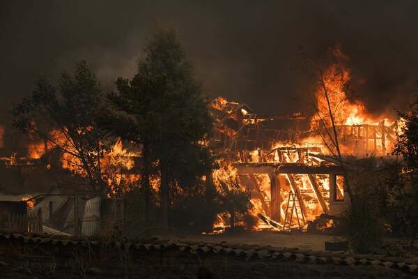 Chile combate la ola de incendios forestales más mortífera de la última década - ADN Digital