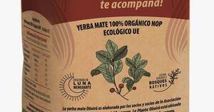 La Nación / Desde Itapúa promueven el consumo responsable de yerba mate orgánica