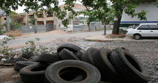 La Nación / Arbovirosis: Senepa alerta sobre espacios llenos de cubiertas, y comunas no actúan en el Este
