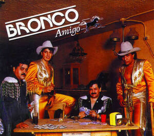 Lupe he'i que la canción “Amigo Bronco” no está inspirada en un caballo