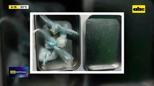 Un supuesto microtraficante fue detenido - ABC Noticias - ABC Color