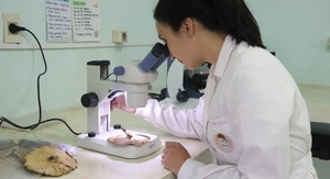 Investigadores paraguayos descubren nueva especie de hongo