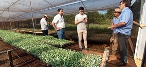 Candidato a Gobernador observa necesidades y promete asistir a productores de Nueva Italia