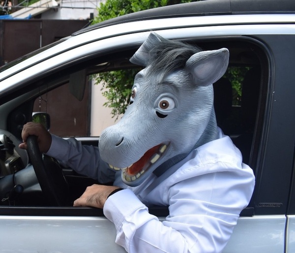 ¿Quién es Gilberto el Burro? - Te Cuento Paraguay