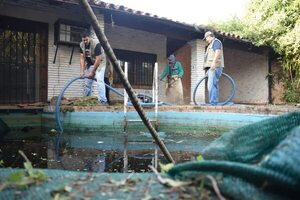 Chikunguña en Asunción: continúan intervenciones en casas abandonadas - Nacionales - ABC Color