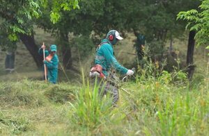 Chikunguña: “Todavía no estamos viendo el pico”, confirman desde Salud  - Nacionales - ABC Color