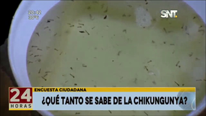 ¿Qué tanto se sabe de la chikungunya? - SNT