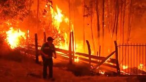 Incendios forestales en Chile sin control: 24 muertos, más de 280 focos activos y envían un “súper avión“para combatirlos - .::Agencia IP::.