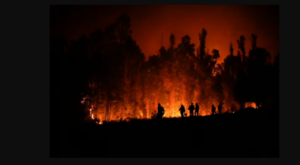 Paraguay ofreció su ayuda para enfrentar ola de incendios que afecta a Chile