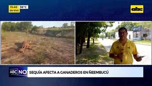 Sequía afecta a ganadero en Ñeembucú  - ABC Noticias - ABC Color