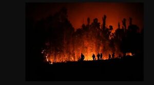 Paraguay ofrece ayuda para enfrentar ola de incendios en Chile
