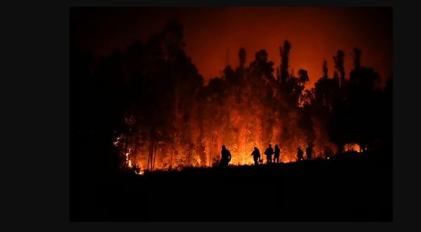 Paraguay ofrece ayuda para enfrentar ola de incendios en Chile
